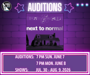 next to normal aud